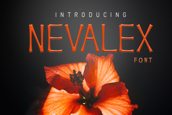 Enhance Your Brand with the Versatile Nevalex Font